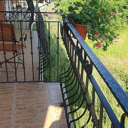 Hostel Pensiunea Mirela Pestera Ursilor